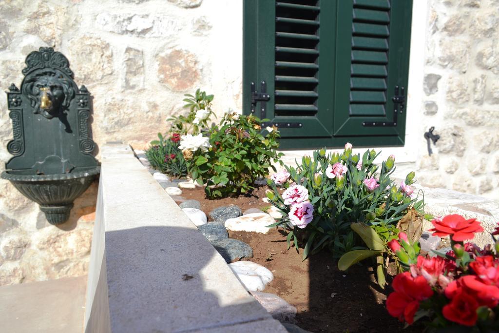 Lanterna Apartments Kotor Værelse billede